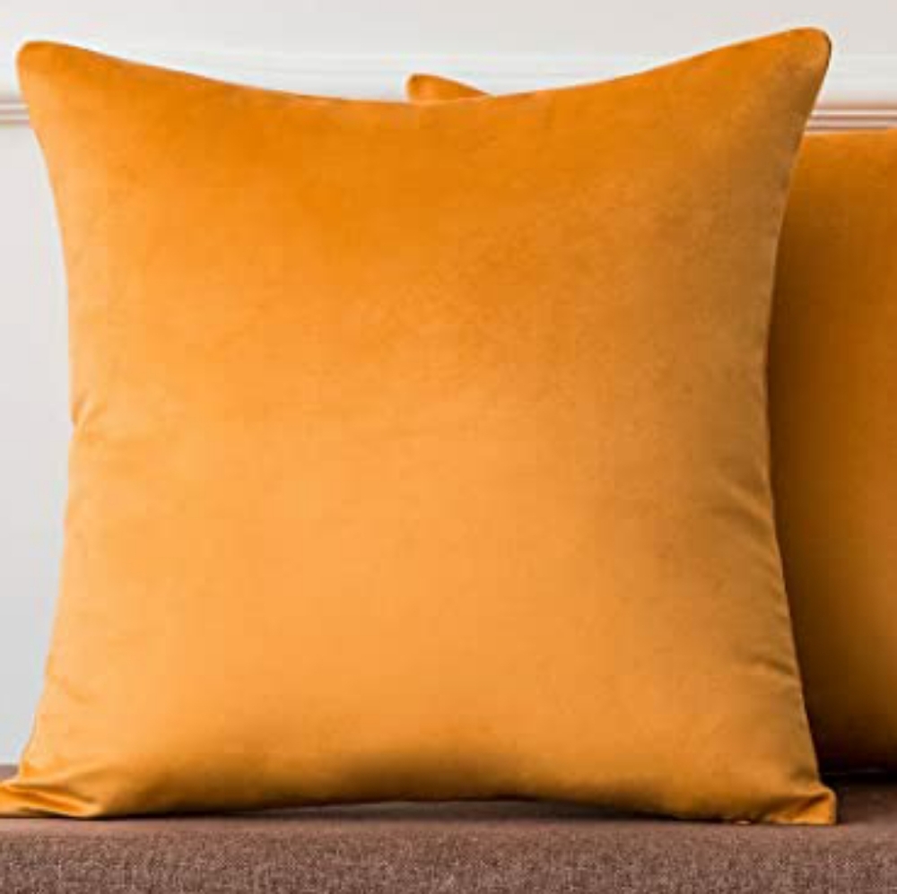 ⭐NEW⭐ - Poppy Orange Velvet Pillow - 18X18